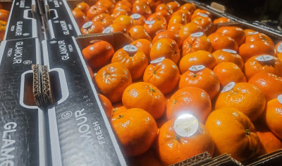 Livraison volume vente clémentines dans la Loire