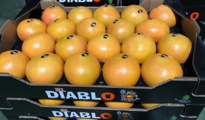 vente achat livraison agrumes dans la Loire