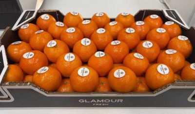 Vente et livraison fruits et légumes fin d'année 2025 dans la Loire