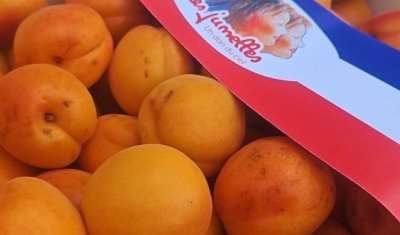 Vente et livraison d'abricots français dans la Loire.