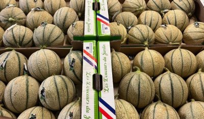 Vente et livraison de melon sur Saint-Etienne