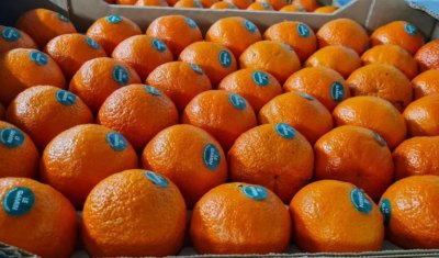 Vente et livraison de fruits et légumes sur Montbrison