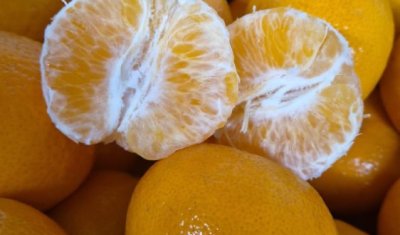 Vente et livraison de mandarines Orri à Saint-Étienne et dans la Loire