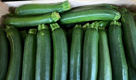 Vente achat livraison courgettes origine Provence secteur Saint-Etienne