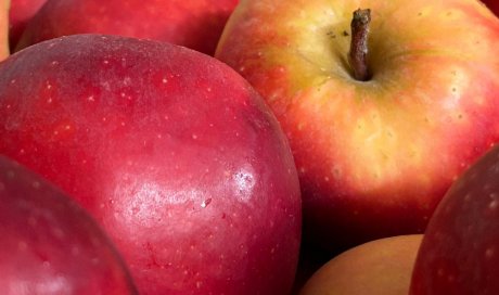 Vente et livraison de pommes rouges Royal Gala sur Saint-Etienne