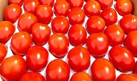 SEGMENTATION TOMATE FRANCAISE LIVRAISON FRUITS ET LEGUMES POUR PROFESSIONNEL SUR MONTBRISON