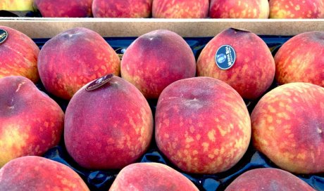 Vente et livraison de pêches et nectarines dans la Loire