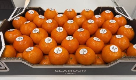Vente et livraison fruits et légumes fin d'année 2025 dans la Loire