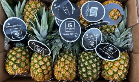 Vente et livraison ananas secteur Saint-Etienne