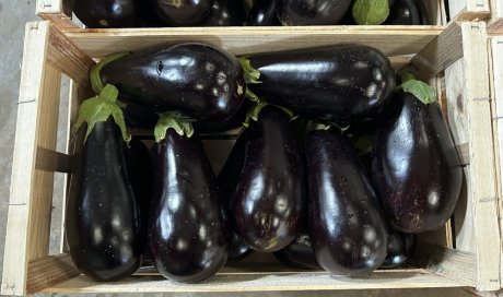 Vente livraison aubergine France dans la Loire