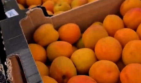 Vente et livraison d’abricots à Saint-Étienne : arrivage “Les Fruits de Pépé Roger