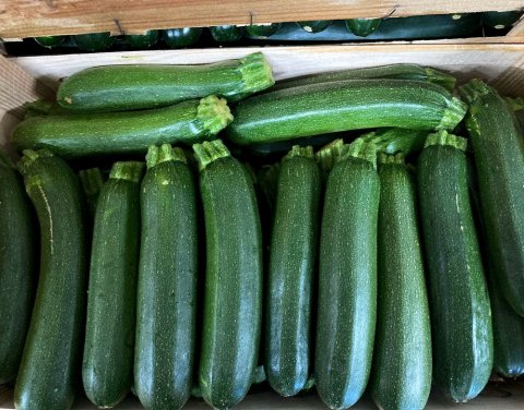 Vente achat livraison courgettes origine Provence secteur Saint-Etienne