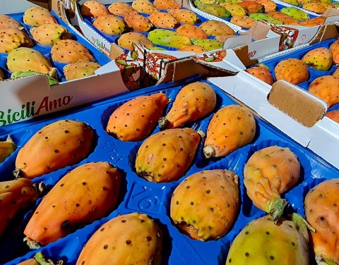 Vente et livraison fruits et légumes de saison dans la Loire