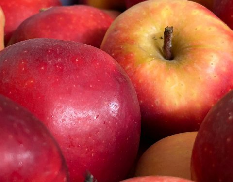 Vente et livraison de pommes rouges Royal Gala sur Saint-Etienne