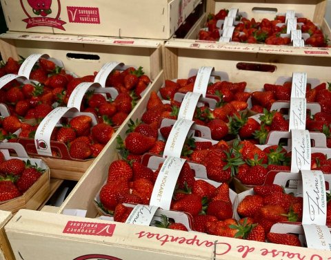 Vente et livraison de fraise sur Saint-Etienne