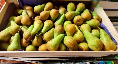 Vente de poires Conférence dans magasins de fruits et légumes à Saint-Étienne