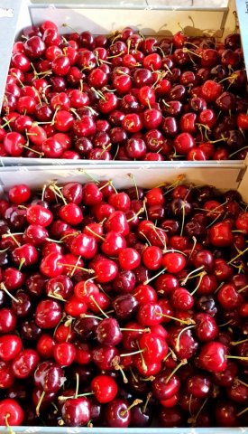 CERISE LOCAL TAP FRUITS VENTE ACHAT LIVRAISON FRUITS ET LEGUMES DANS LA LOIRE