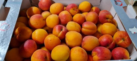 En direct de nos producteurs locaux - Vente achat et livraison de fruits locaux et de saison à Saint-Étienne et ses environs