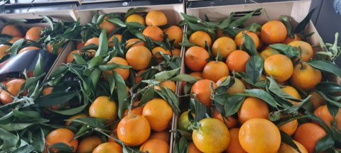 VENTE ACHAT LIVRAISON FRUITS ET LEGUMES DE SAISON  SUR MONTBRISON