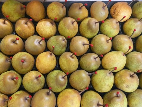 POIRE FRANCAISE LIVRAISON FRUITS ET LEGUMES POUR PROFESSIONNEL SUR SAINT CHAMOND