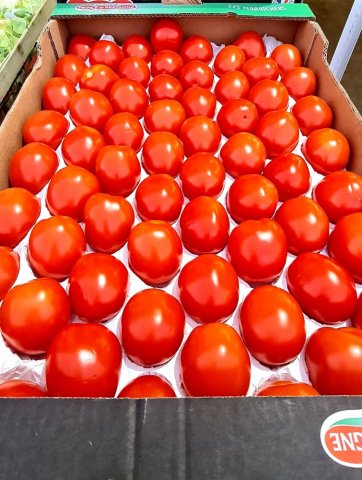 SEGMENTATION TOMATE FRANCAISE LIVRAISON FRUITS ET LEGUMES POUR PROFESSIONNEL SUR MONTBRISON