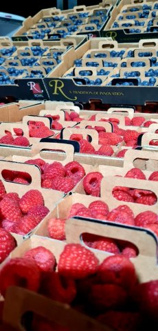 VENTE ACHAT LIVRAISON FRUITS ET LEGUMES SUR SAINT ETIENNE