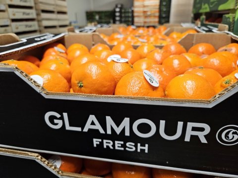Vente et livraison de fruits et légumes qualité premium dans la Loire