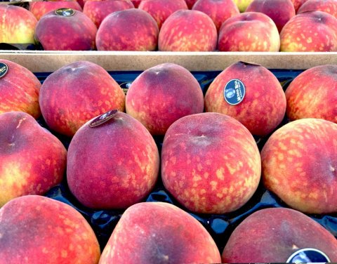 Vente et livraison de pêches et nectarines dans la Loire