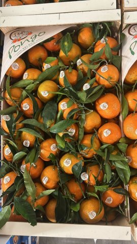 Vente et livraison de clémentines feuilles origine Portugal dans la Loire et régions limitrophes