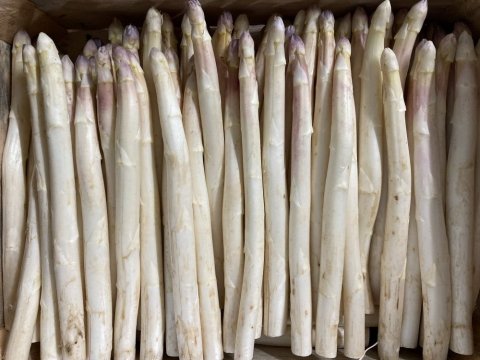 Vente et livraison asperge blanche violette dans la Loire