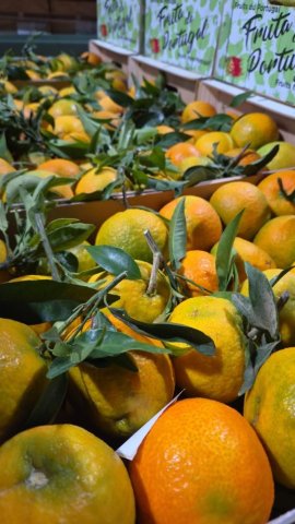 Vente et livraison de clémentines feuilles du Portugal à Saint-Étienne et dans la Loire