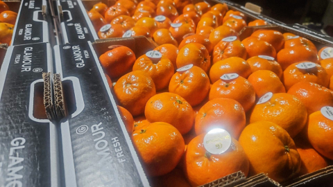 Livraison volume vente clémentines dans la Loire