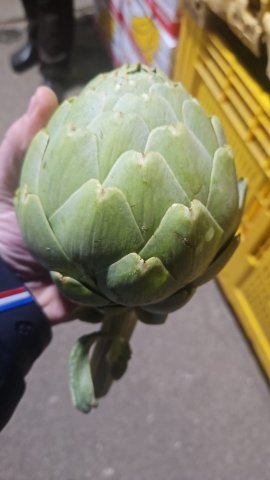 Livraison et vente d'artichauts sur Saint-Étienne