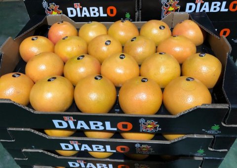 vente achat livraison agrumes dans la Loire