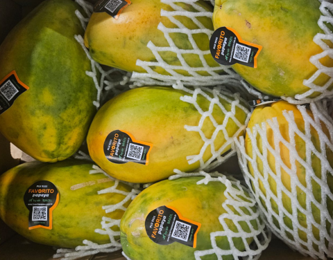 Vente et livraison de fruits exotiques autour de Saint-Etienne
