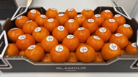 Vente et livraison fruits et légumes fin d'année 2025 dans la Loire