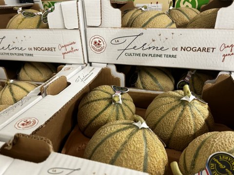 Vente et livraison de melon dans la Loire