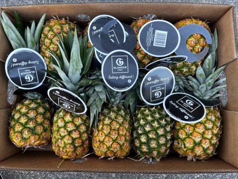 Vente et livraison ananas secteur Saint-Etienne