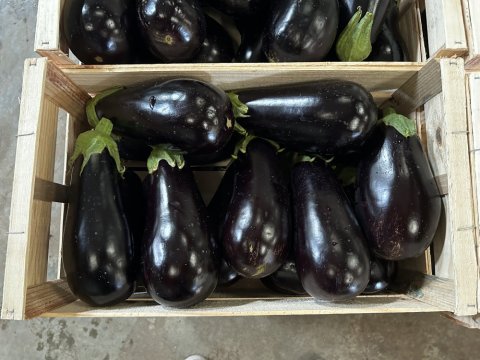 Vente livraison aubergine France dans la Loire