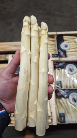 Vente et livraison d'asperges blanches françaises sur Saint-Étienne