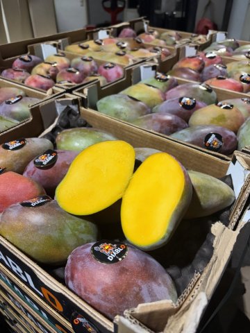 Vente et livraison de mangues Osteen à Saint-Étienne : un fruit de qualité pour les professionnels