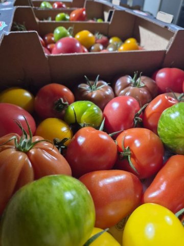 Vente et livraison de produits de printemps à Saint-Étienne : fraises, tomates, asperges et petits pois