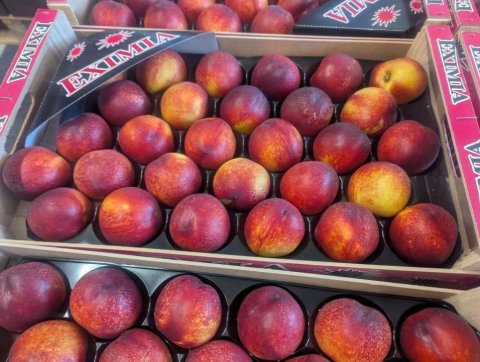 Vente et livraison de fruits à noyau de saison dans la Loire