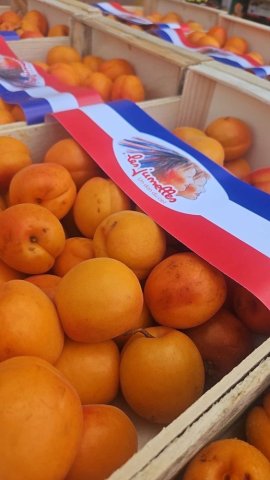 Vente et livraison d'abricots français dans la Loire.