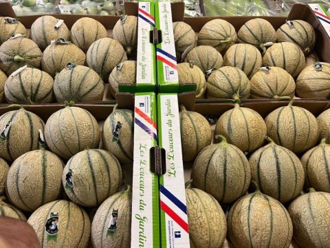 Vente et livraison de melon sur Saint-Etienne