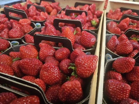 Vente et livraison de fruits rouges d'exception dans la Loire 42