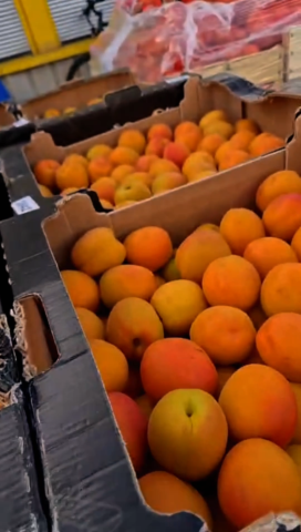 Vente et livraison d’abricots à Saint-Étienne : arrivage “Les Fruits de Pépé Roger