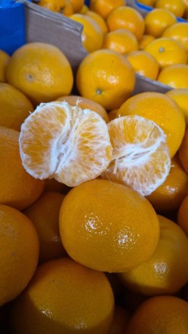 Vente et livraison de mandarines Orri à Saint-Étienne et dans la Loire