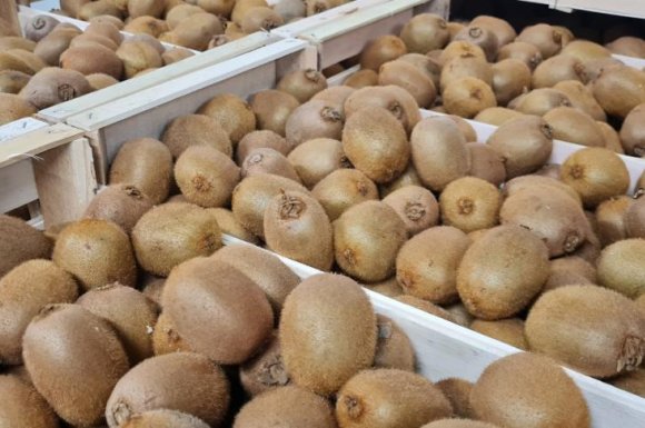 vente achat livraison fruits et légumes sur Saint-Etienne