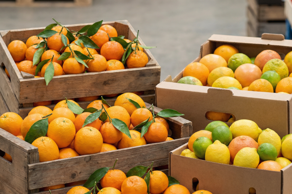 Vente et livraison d'agrumes d'origine Italie et Portugal sur Saint-Étienne
